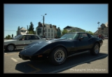 Chevrolet Corvette 1979.DNG-001